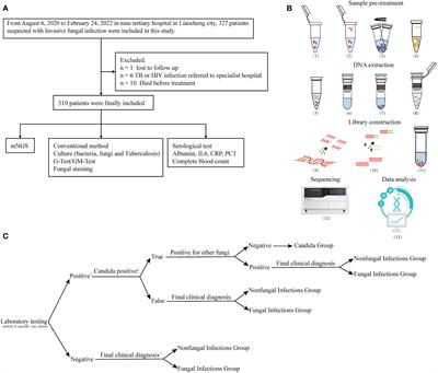 Application of metagenomic next-generation sequencing in the diagnosis of pulmonary invasive fungal disease